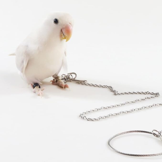 Bird Foot Chain Flying Stainless Steel Training Rope Outdoor Parrot Ankle Foot Ring Accessories Bird Harness Leash Prevent Escaping (5#)