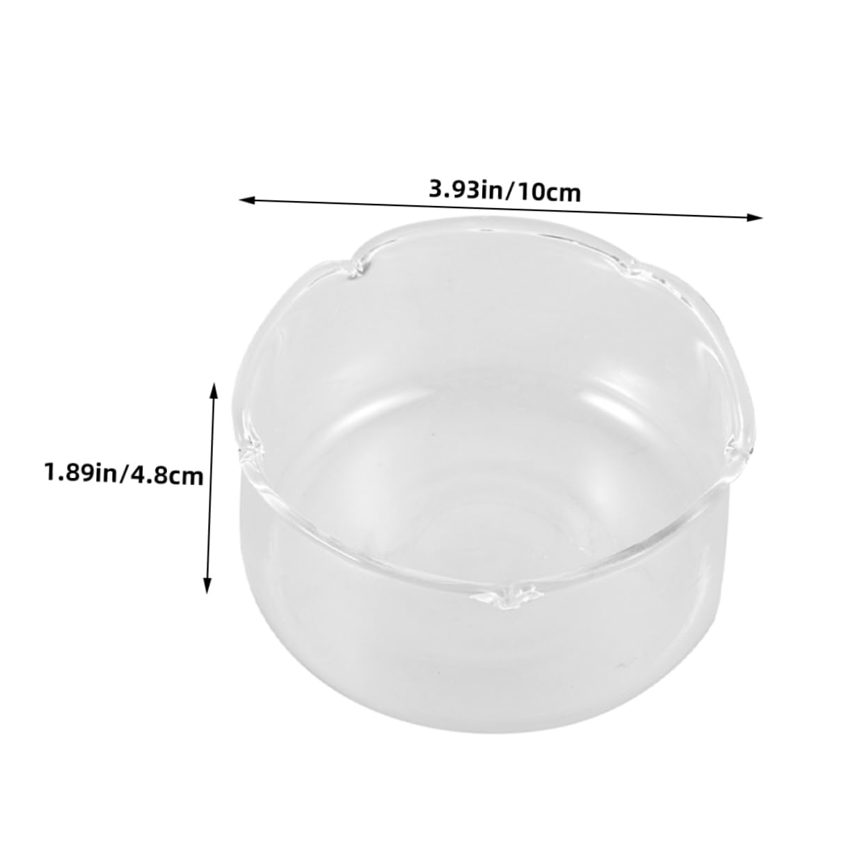 Alipis 2pcs Glass Vase for Hydroponic Plants Elegant Glass Plant Holder for Decor Decorative Fish Tank Terrarium Pot Container