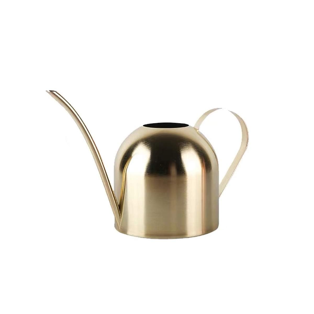 YISSSN Small Watering Can for Indoor Plants, 15oz/450ml Stainless Steel Long Spout Watering Can for Succulents, Herbs (Gold)
