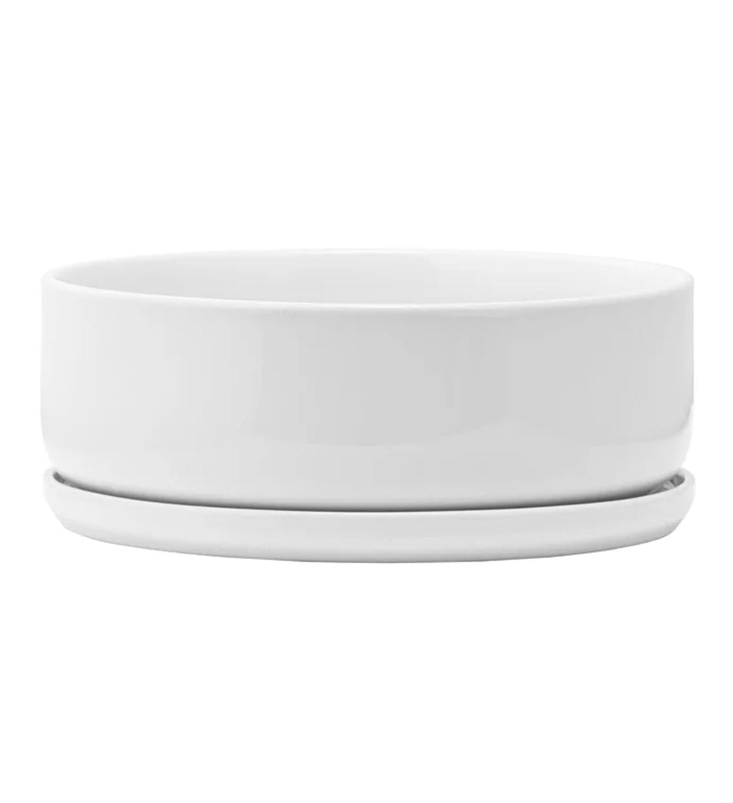 Napco Modern and Minimal Circular Design 7.25 x 7.25 x 2.25 inches White Ceramic Flower Succulent Plant Pot Planter Container Holder with Saucer Tray, Indoor Outdoor Garden Décor