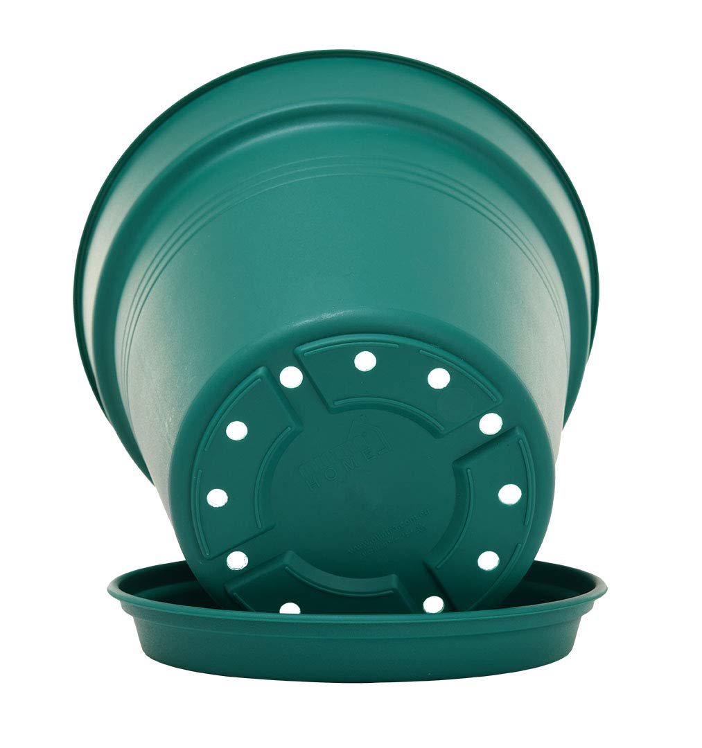 Mintra Garden Pots, 4 Pack Bulk Plastic Plant Pots with Drainage Tray, Round Indoor & Outdoor Decorative Planters with Drain Holes for Flowers, Herbs & Plants, 19cm Diameter – Forest Green, 7.5 in