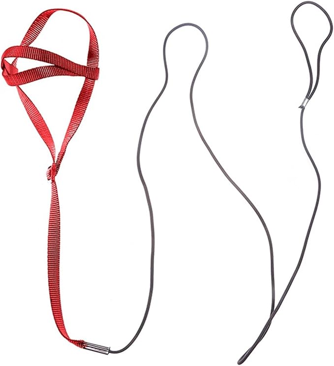 Adjustable Bird Harness and Leash,Anti-Escape Durable Nylon Parrot Harness, Flying Training Rope Parrot Leash for Small Medium Large Breed Parrots Fits Chest Under 18.5'', Purple S