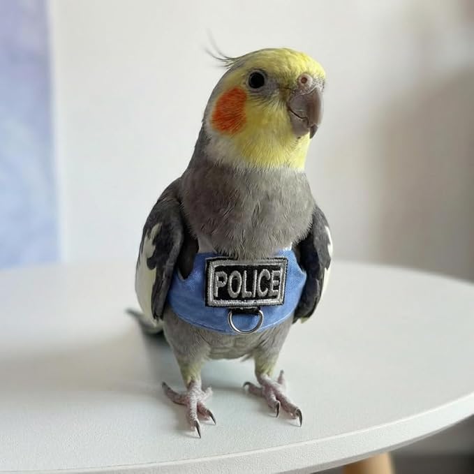 2 Pack Bird Flight Suit Vest, Adjustable Parrot Harness Clothes with Cute Design, Anti-Bite Outdoor Training Outfit for Parakeet, Cockatiel, Conure, Quaker, Budgie (XS,with Leash)