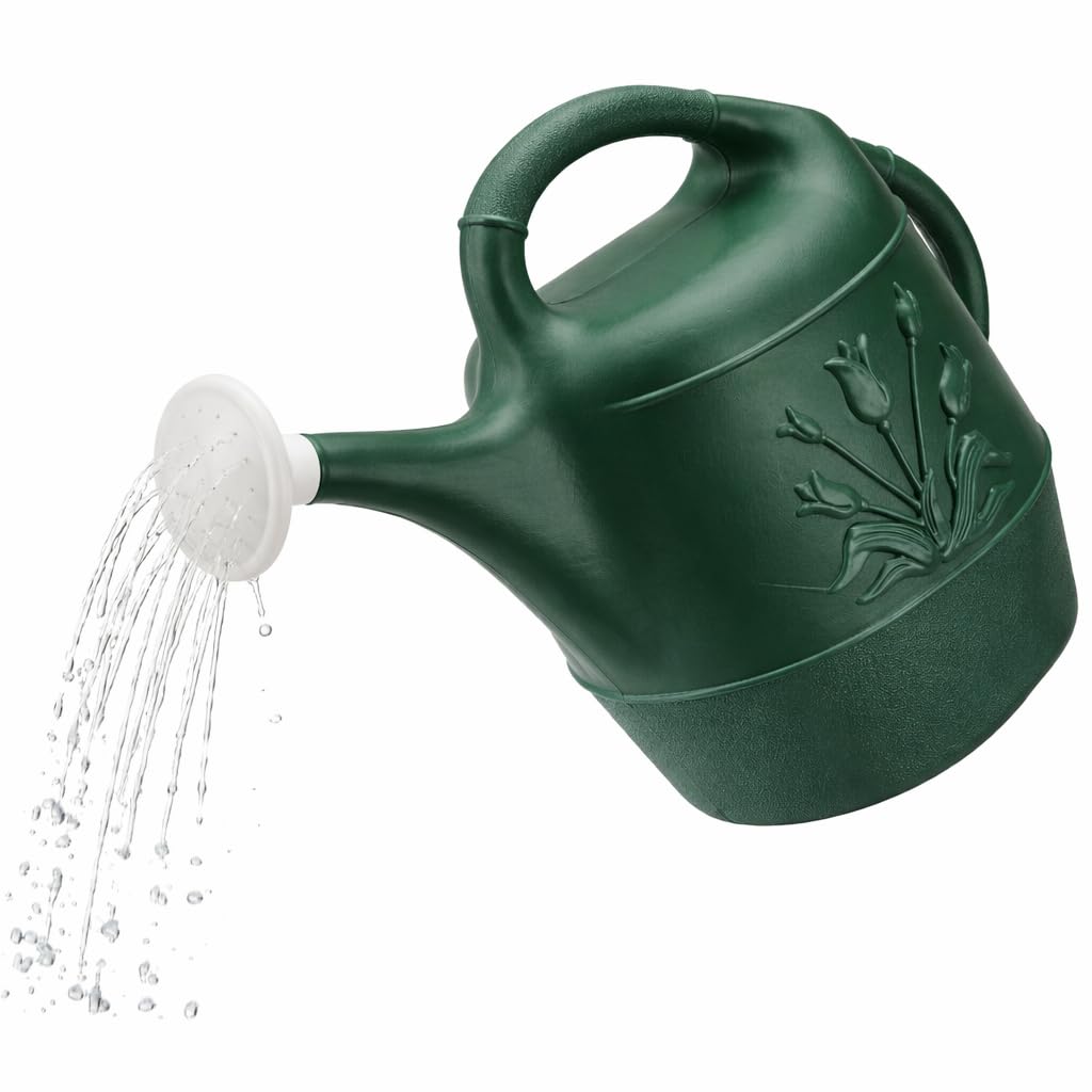 PMU 2 Gallon Watering Can - Garden Watering Can for Indoor & Outdoor Plants - Plastic Water Can with Detachable Sprinkler Head - Large Water Pot, Made in USA - Hunter Green Pkg/1