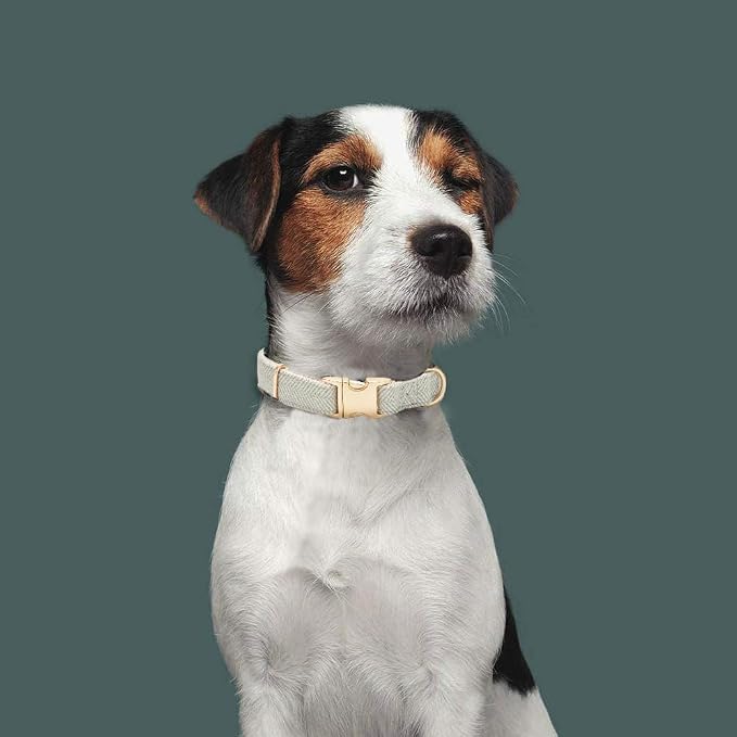 Luxury Soft Cotton Tweed Fabric Dog Collar & Leash Set with Gold Buckle – Durable Fabric, Stylish Design for Everyday Walks(Medium Grey)
