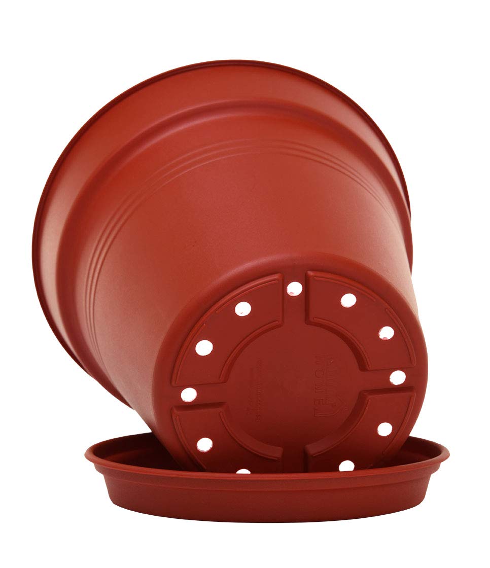 Mintra Garden Pots, 4 Pack Bulk Plastic Plant Pots with Drainage Tray, Round Indoor & Outdoor Decorative Planters with Drain Holes for Flowers, Herbs & Plants, 19cm Diameter – Burgundy, 7.5 in