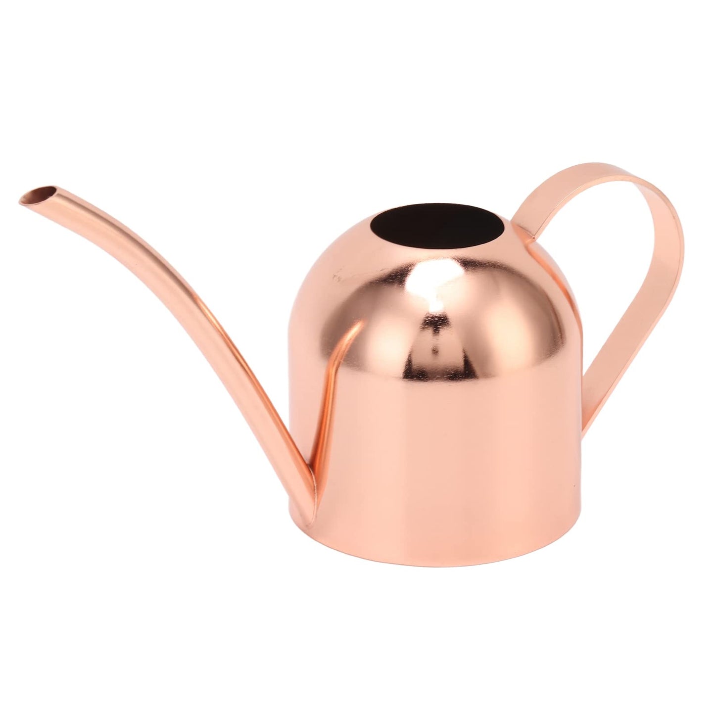 Phefop Watering Can, Stainless Steel, Large Capacity for Indoor Outdoor Plants, 1 Gallon Mini Can for Bonsai and Houseplants