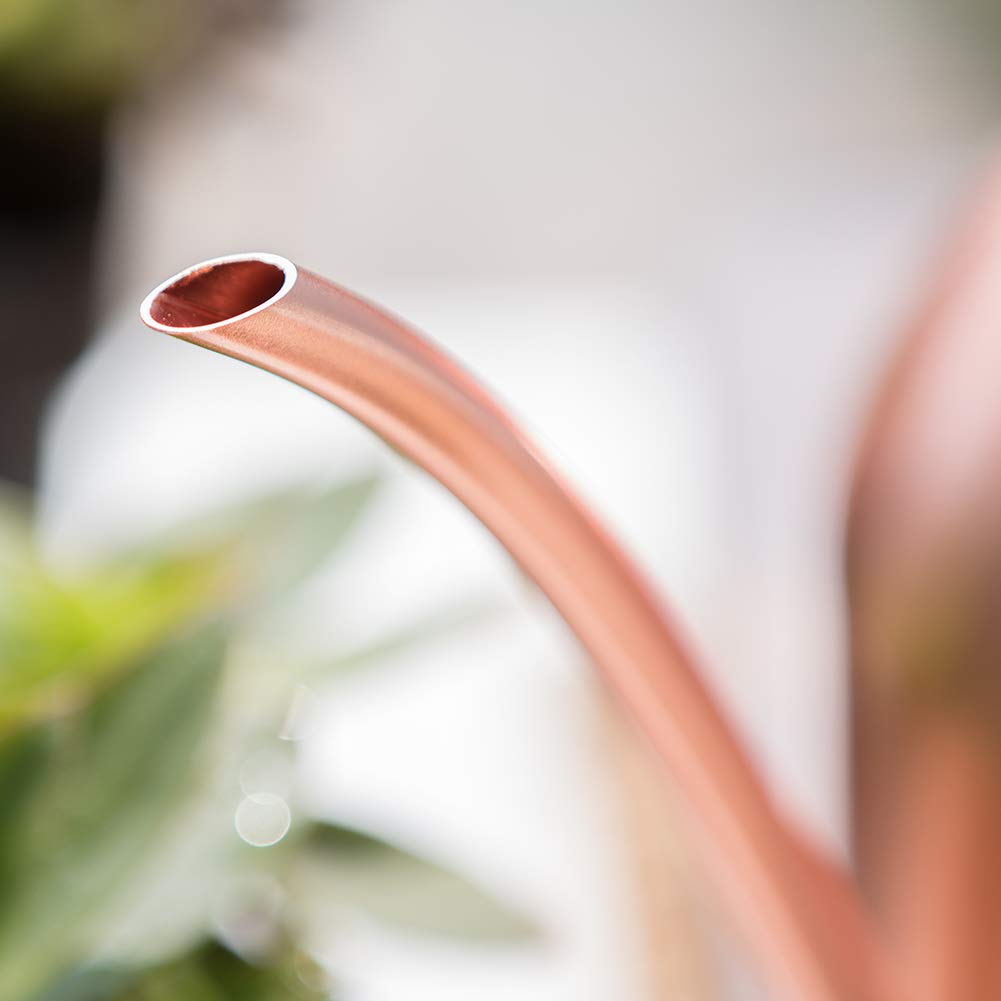 E.Palace Small Watering Can Indoor Plants Metal Watering Cans 15oz Capacity Cute Design for House Plants & Gardens (Rose Gold 15 oz)