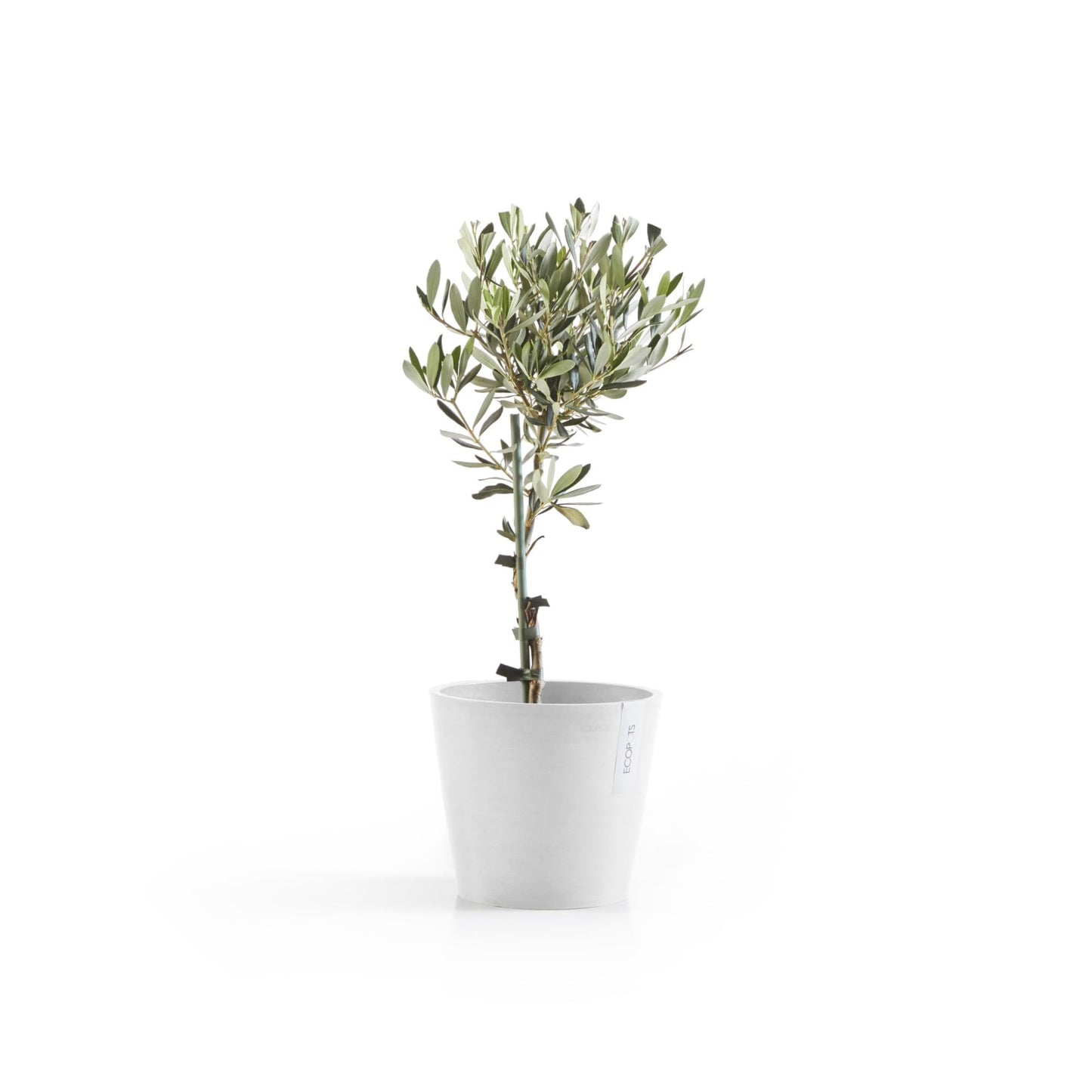 Ecopots Amsterdam Durable Modern Round Indoor/Outdoor Recycled-Based Composite Flower Pot Planter, Pure White, 8"
