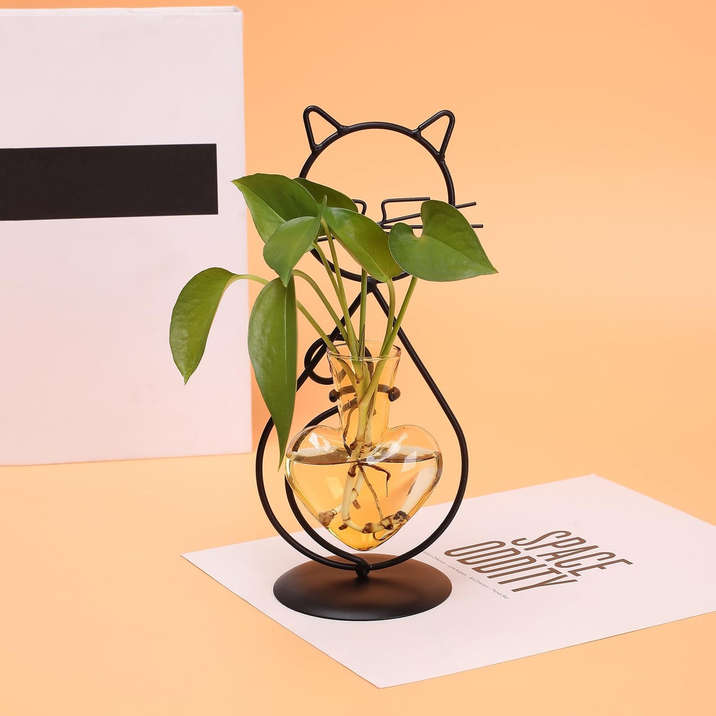 Plant Terrarium Plants Propagation Station Cat Lover Gifts for Women Home Office Decor Cat Desk Accessories