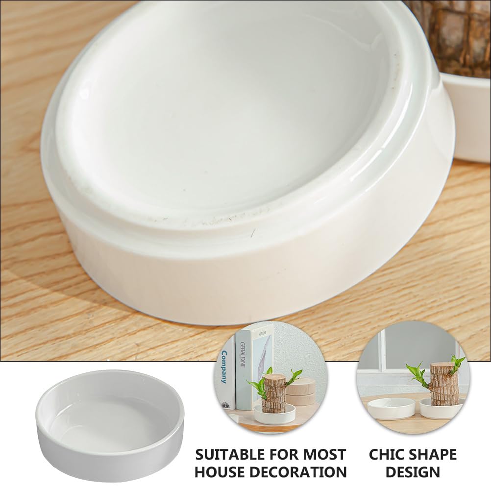 balacoo 2pcs Brazilian Wood Plant Pot: Ceramic Brazilian Wood Pallet Desk Flower Pots Plant Base ers Tabletop Tray Dish for Lucky