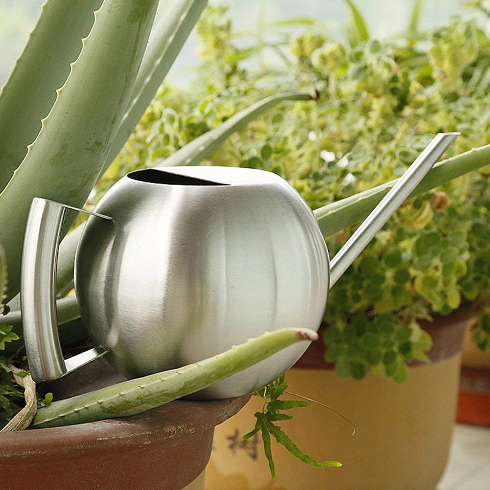 Fdit Watering Can for Indoor Plants, Stainless Steel, Long Spout, 1.0L, Silver, 11.42 Inch