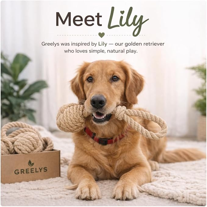 Natural Hemp Rope Dog Toy, Eco-Friendly Tug Toy for Interactive Play & Fetch, Safe Non-Toxic Alternative to Synthetic Rope Toys, Light to Moderate Chewers, Small
