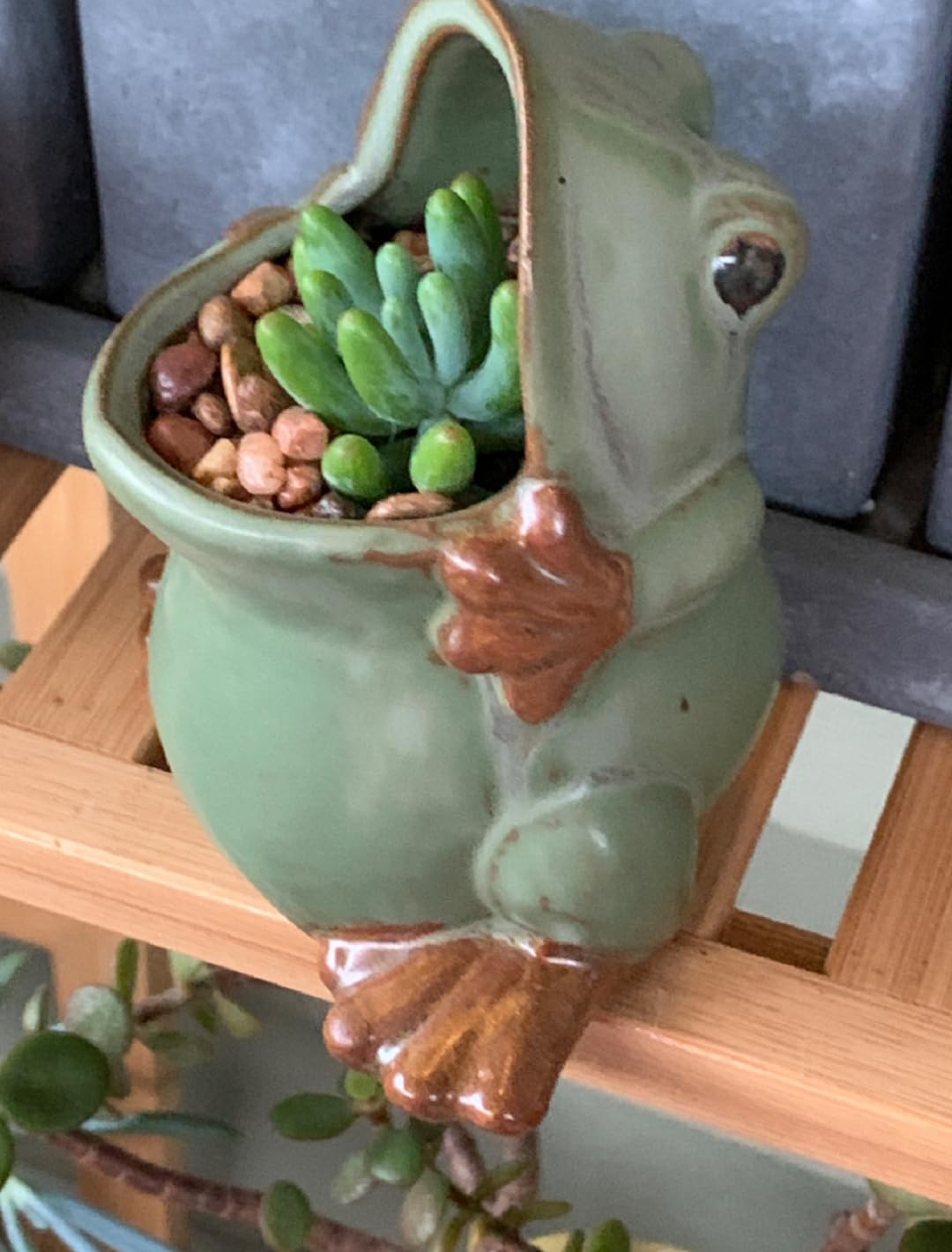 zmgmsmh Ceramic Succulent Plant Pot Cactus Plant Pot Flower Pot Container Planter with Drainage Hole Home Office Desk Garden Gift Idea Animal Shaped Flower Pot Cute Vase Pot (Large Frog)