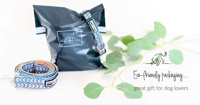 Lucky Love Dog Collars, Comfortable, Soft, Cute Dog Collar for SmallDogs, Murphy, Small