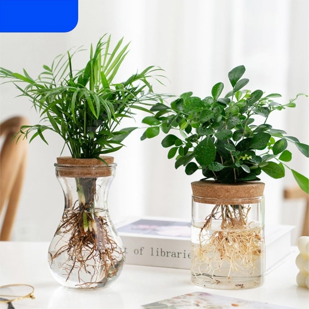 Transparent Hydroponic Flower Pot Creative Mini Terrarium Glass Vase Soilless Green Plant Potted Home Decoration for Table Centerpiece Wedding Home Decor(8.5 * 12cm)