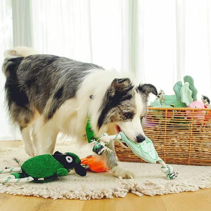 Green Sheep Interactive Plush Dog Toy, No Stuffing Squeaky Toy with Recycled Cotton Rope for Medium to Large Dogs,Radish