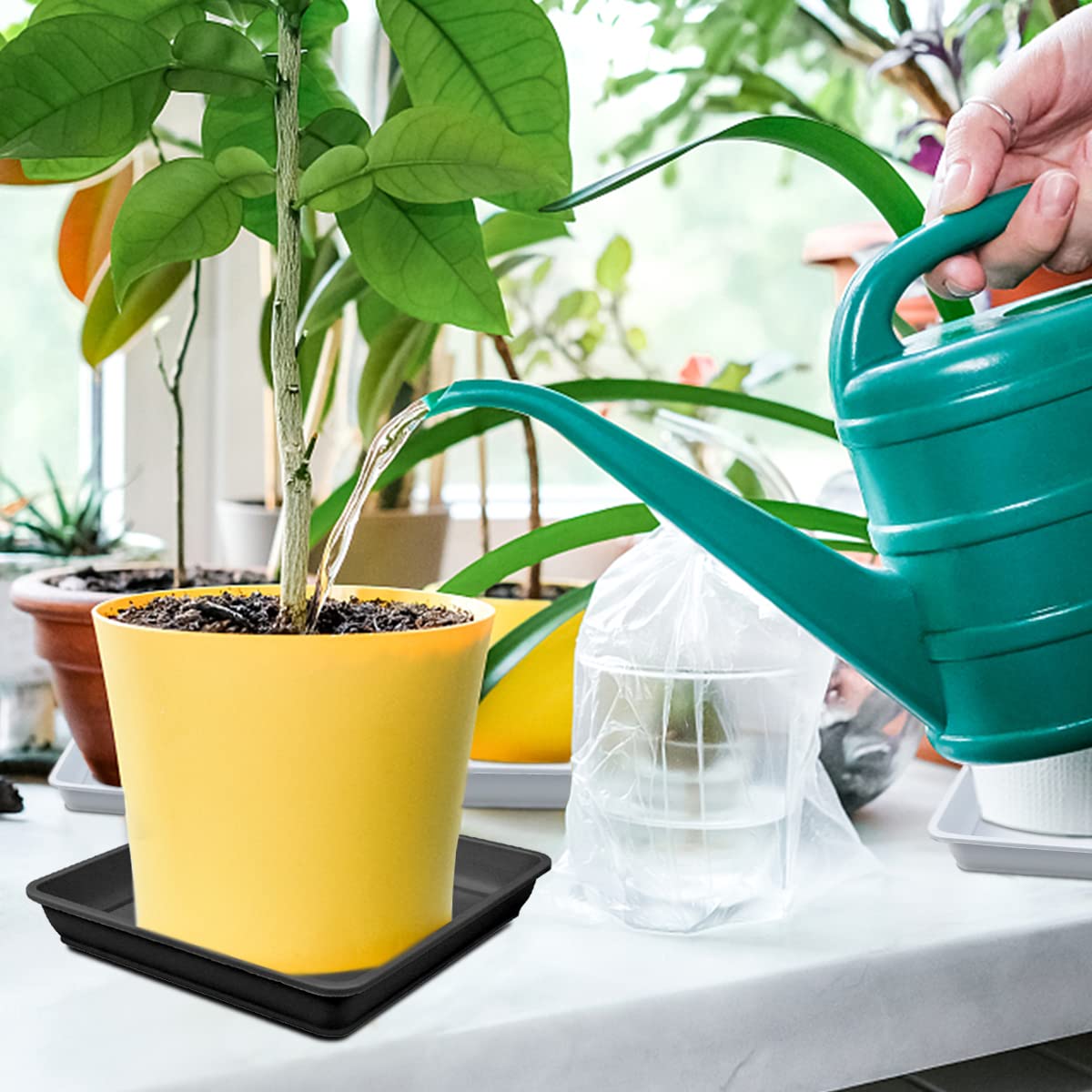 LNQ LUNIQI 10 Pcs 6 Inch Square Plastic Plant Saucer Flower Pot Bottom Seat Flower Pot Tray Thick Plastic Drip Tray for Garden Potted Water Drips and Soil (Black)