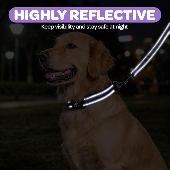 FURRYFECTION Reflective Dog Collar and Leash Set with Quick Release Buckle, Padded with Neoprene Adjustable Nylon Dog Collar for Small Medium and Large Dogs (Large Collar+5FT Leash, Purple)