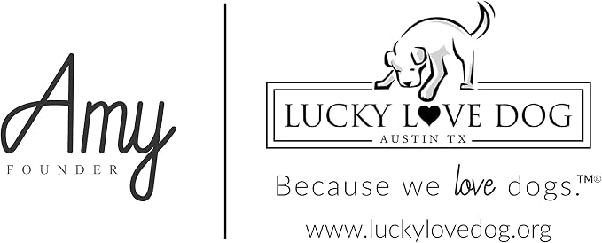 Lucky Love Dog Martingale Dog Collar - Adjustable, No-Slip, Comfortable, Durable, Soft Webbing & Stylish Patterned Collar for Male and Female Dogs Ideal for Training & Walking - Carriebelle, Medium