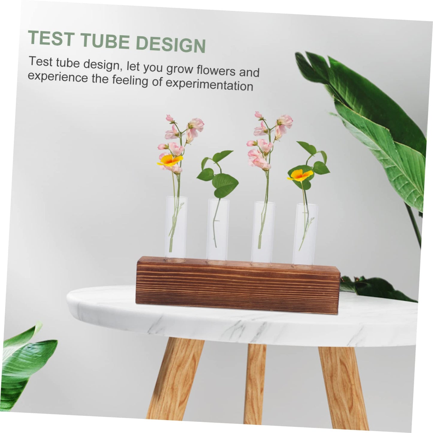 FUNOMOCYA Creative Hydroponic Glass Vases Wooden Stand Plant Terrarium for Home Decoration for Indoor Gardening for Plant Lovers 1 Set