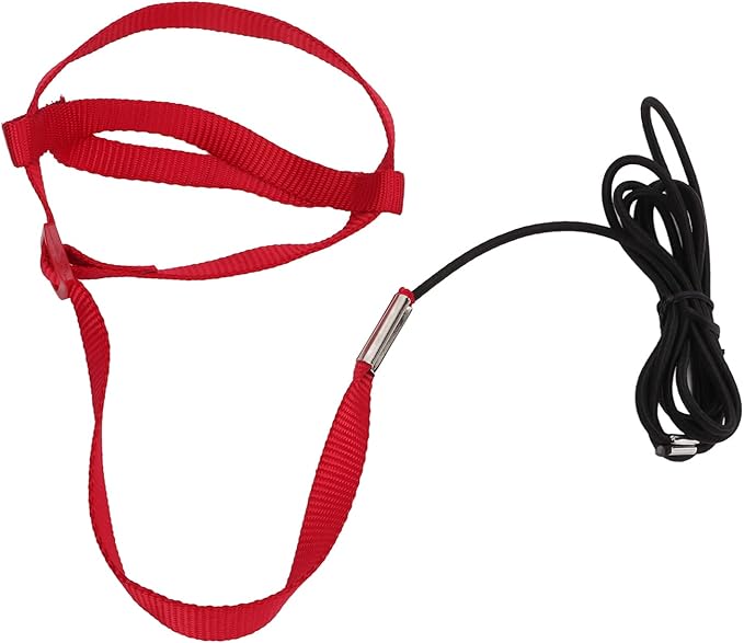 Elastic Parrot Harness Leash Bird Leash Bite Proof Harness Adjustable Parrot Flying Training Rope