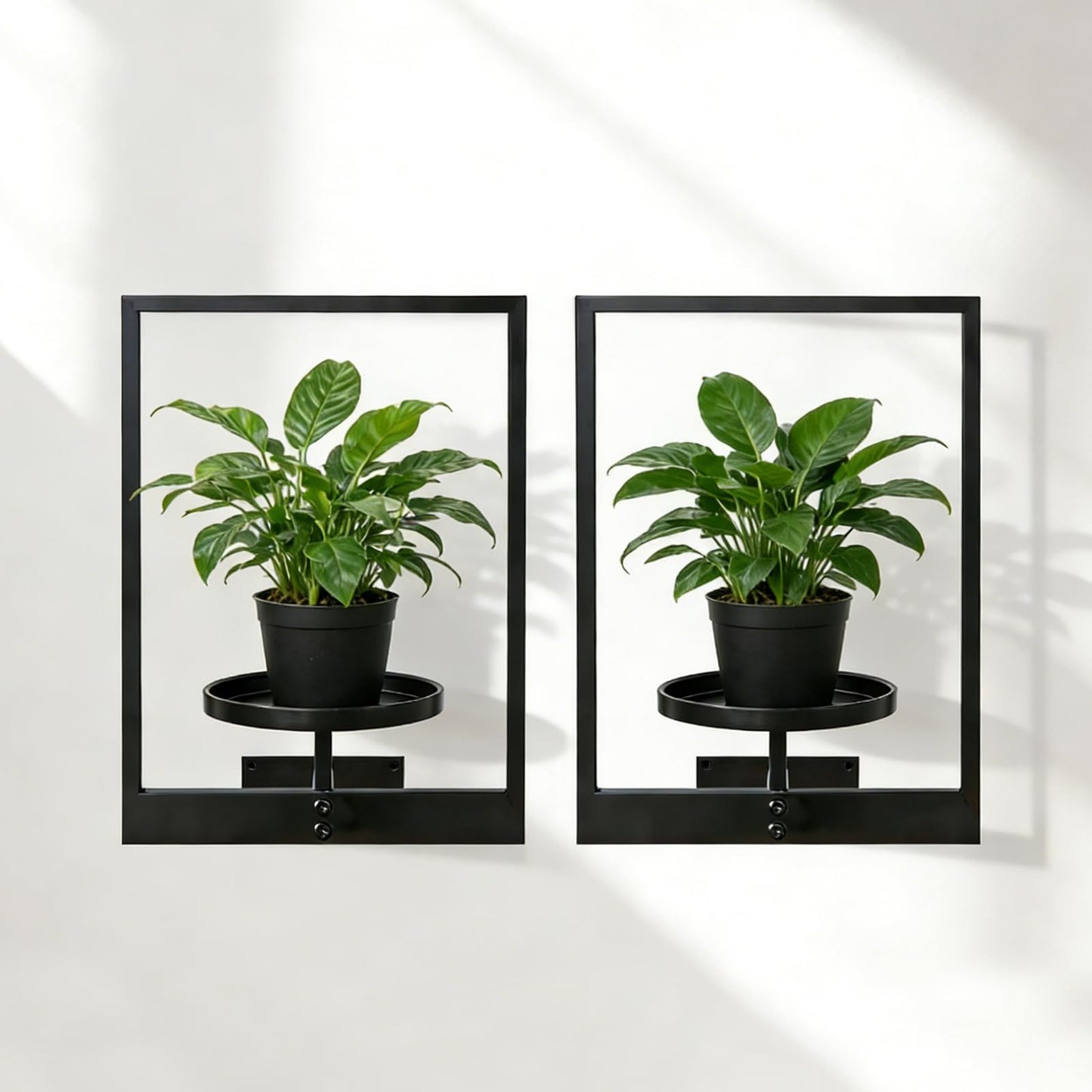 bbteroiu Picture Frame Wall Planters Set of 3, Modern Metal Hanging Shelves for Plants, Rustproof Wall Mount Flower Pot Holder for Indoor Outdoor, Decorative Plant Stand for Living Room Patio, Gold