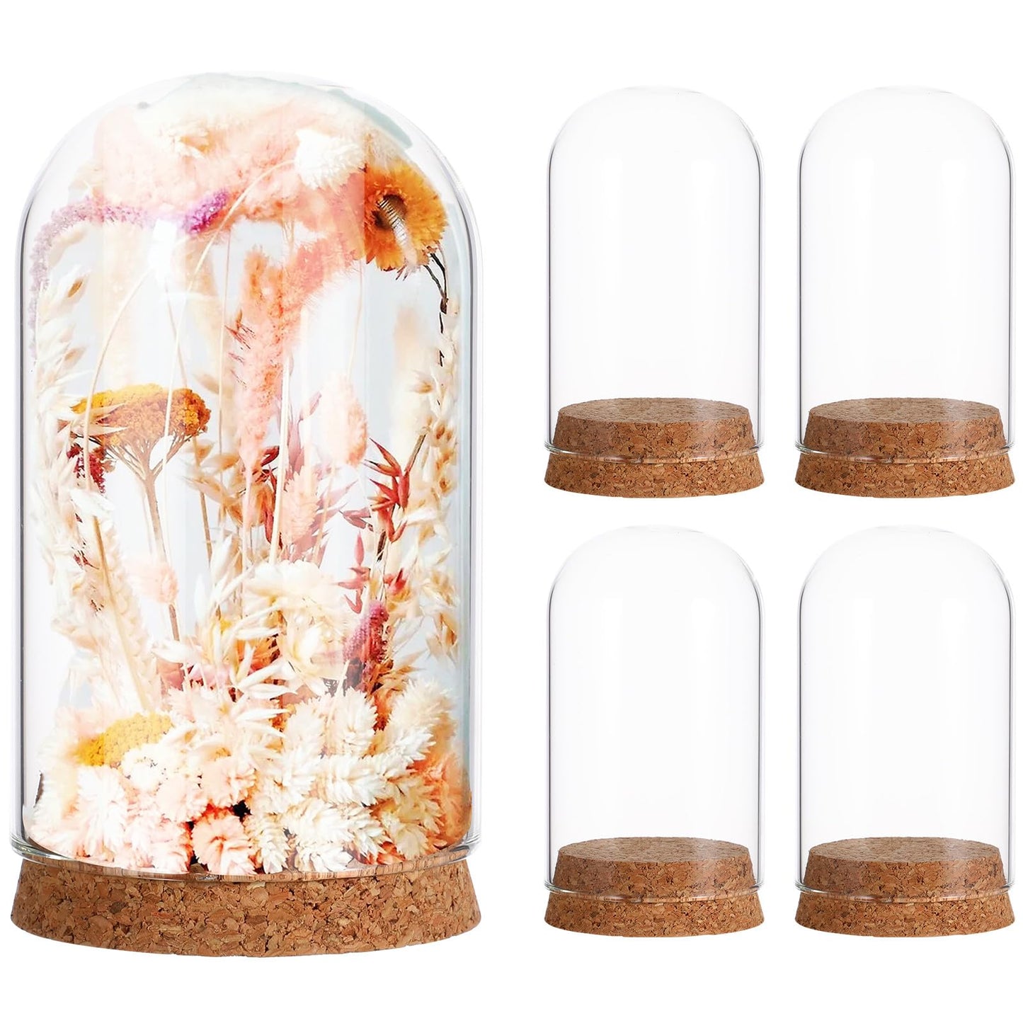 LIOOBO Glass Cloche Bell Jar with Cork Base, Tiny Display Dome for Eternal Flower And Micro Landscape, Clear Terrarium Container Bulk 5 Pack