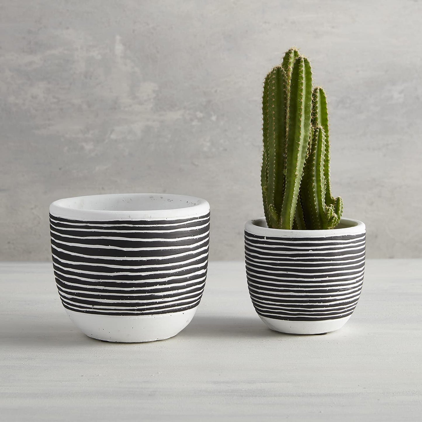 47th & Main Cement Planter Pot, 4.9" Tall, Black Stripes