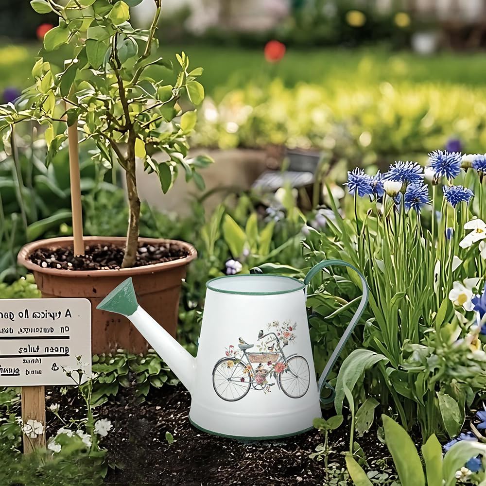 Zokyntrix Small Watering Can for Indoor Plants Garden Metal Decorative Watering Can Outdoor Bonsai Balcony Courtyard Garden Flower Decorative, 1.5L, 50.7 Oz (White Green)