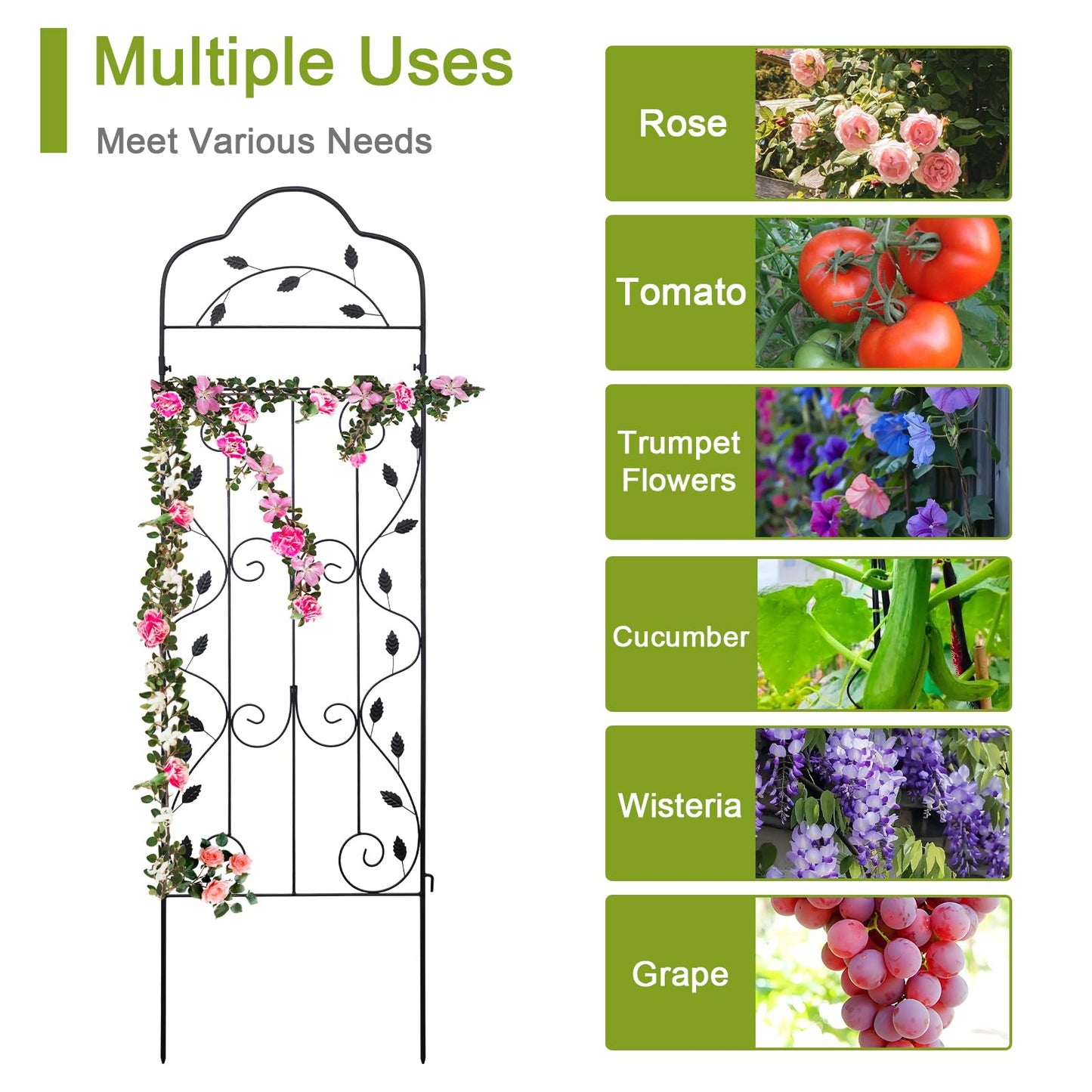 hogardeck Metal 60 * 18in Garden Trellis 2-Packs for Climbing Plants Flowers Vegetables Planting Arched Outdoor Decoration for Courtyards Lawns Gardens