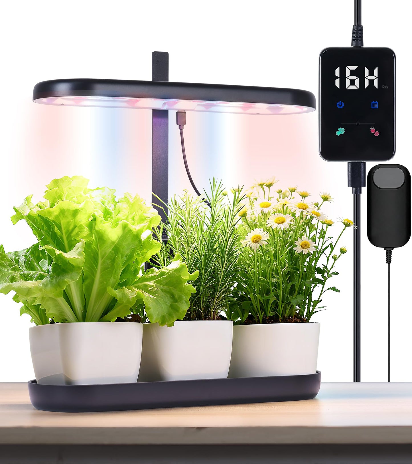 DRYADES Grow Lights for Indoor Plants, 20W Full Spectrum LED Grow Lamp for Indoor Garden with Intelligent Controller, Height Adjustable, Ideal for Home Desk Plant Lighting (Black, ABS Base)