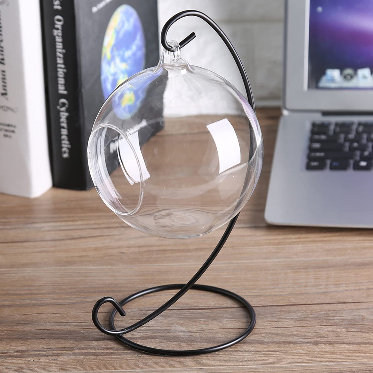 Mtlavishness Hanging Glass Vase Large Terrarium with Frame for Air Plants Succulent