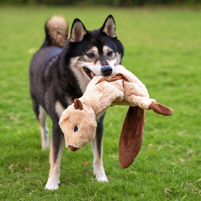 Best Pet Supplies Squeaky Dog Toys with Soft Durable Fabric for Small, Medium and Large Pets Interactive Toy for Indoor Play, Supports Active Biting and Play - Monkey, Squirrel, Small