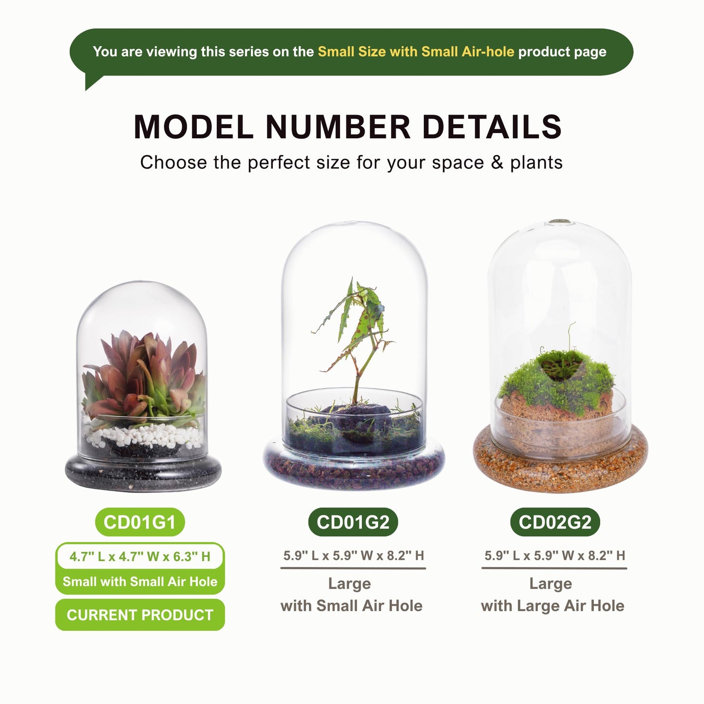 NCYP Small Clear Decorative Glass Terrarium Cloche with Air Hole - 4.7 x 4.7 x 6.3 Inches Glass Dome with Base for Miniature Plants - Display Storage (No Plants Included)
