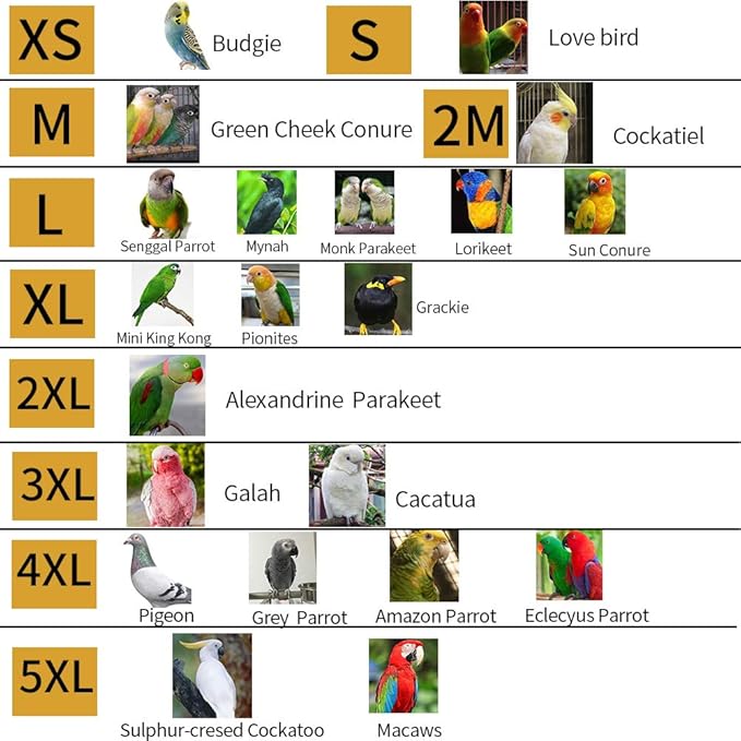 Bird Diaper Flight Suit Parrot Costume pet Animal Costume, Applicable to Birds and Parrots Warm Supplies. (2M)