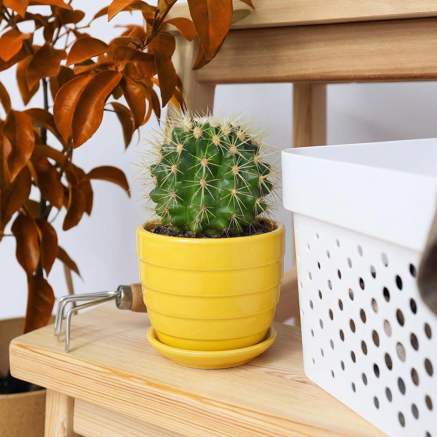 Elsjoy 6 Pack 4.3 Inch Ceramic Succulent Pots with Drainage and Attached Saucer, Small Decorative Succulent Planter Cute Ceramic Flower Pots for Home, Garden