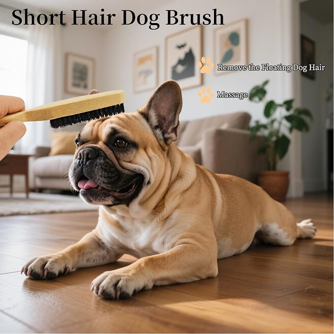 Soft Boar Bristle Dog Brush for Short Haired Dogs - Made of Bamboo, Gentle Deshedding & Grooming Tool, Ideal Dog Hair Brush for Pets, Dog Brushes for Grooming and Shedding (Large)