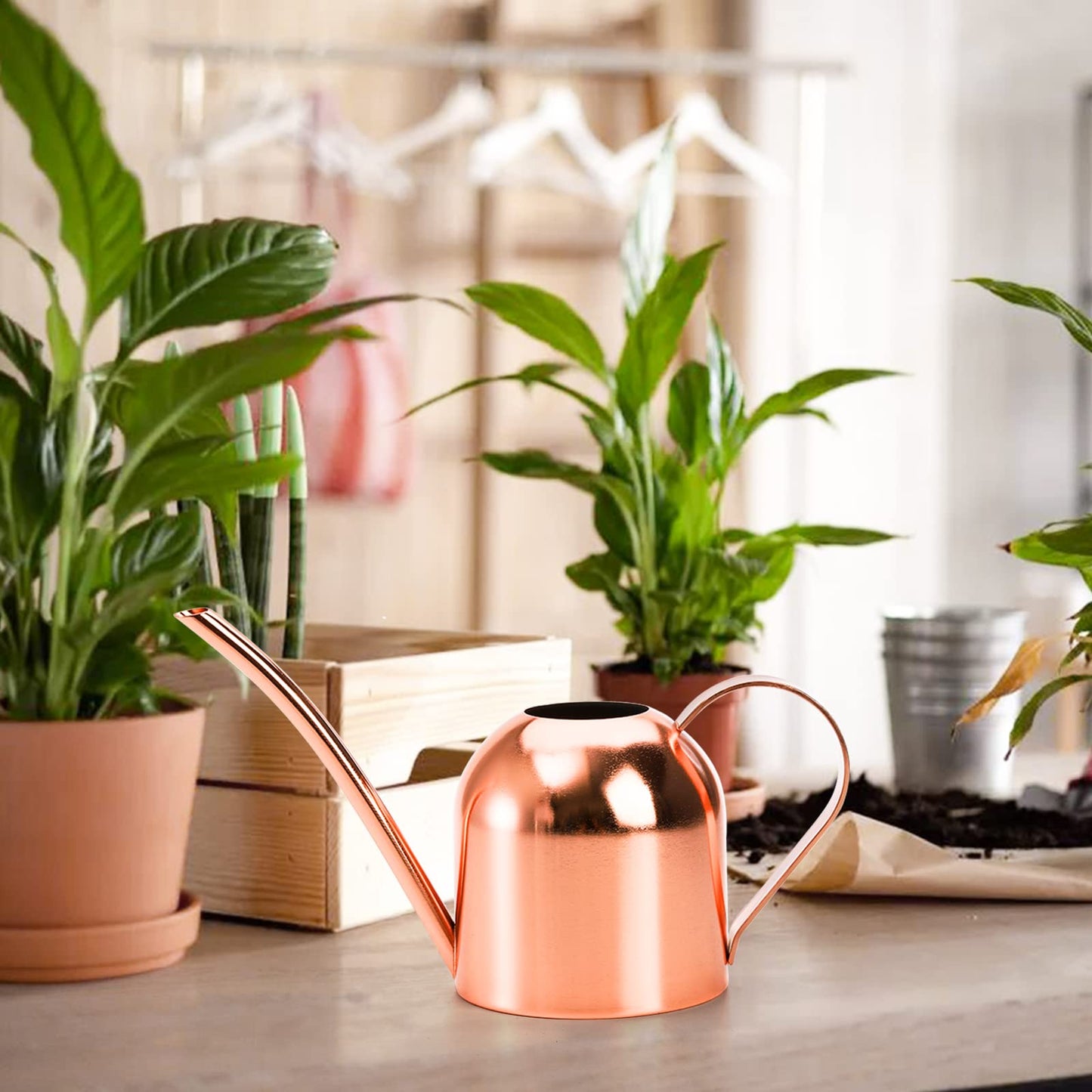 Fasmov Stainless Steel Watering Can, Small Modern Style Watering Pot, 15oz/450ml Plant Watering Can with Long Spout to Prevent Spillage, Perfect for Outdoor and Indoor Plants (Copper)