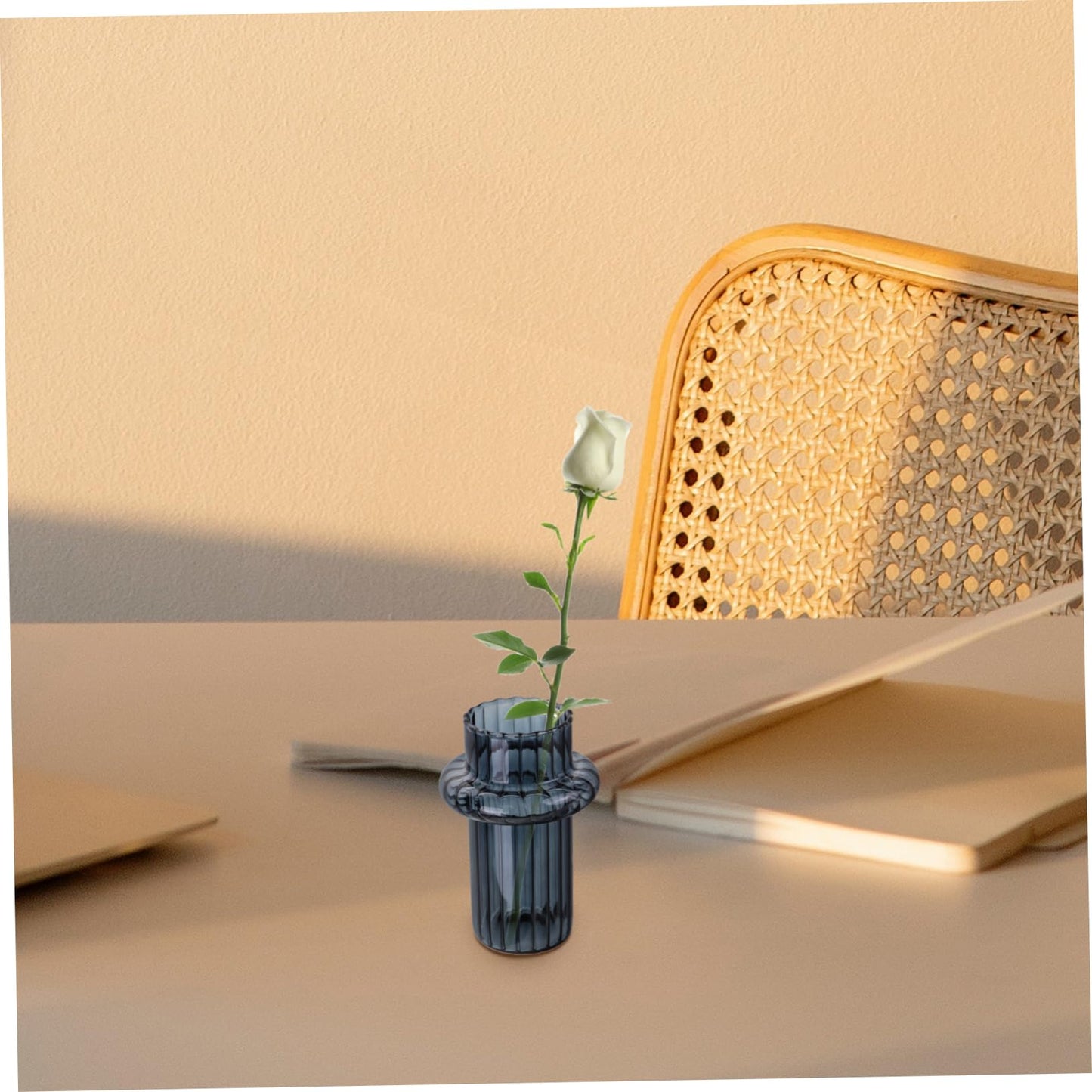 GANAZONO Glass Hydroponic Vase for Desktop Decoration Minimalist Style Terrarium Plant Holder for Decor