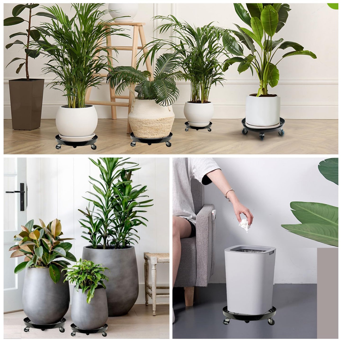 AyaLight 2 Pack Metal Plant Caddy With Wheels 12 Inch Black, Round Rolling Heavy Duty Plant Dolly, Heavy Plant Pot Mover Outdoors or Indoors, The Metal Wheel Can Rotate 360 Degrees or Lockable.
