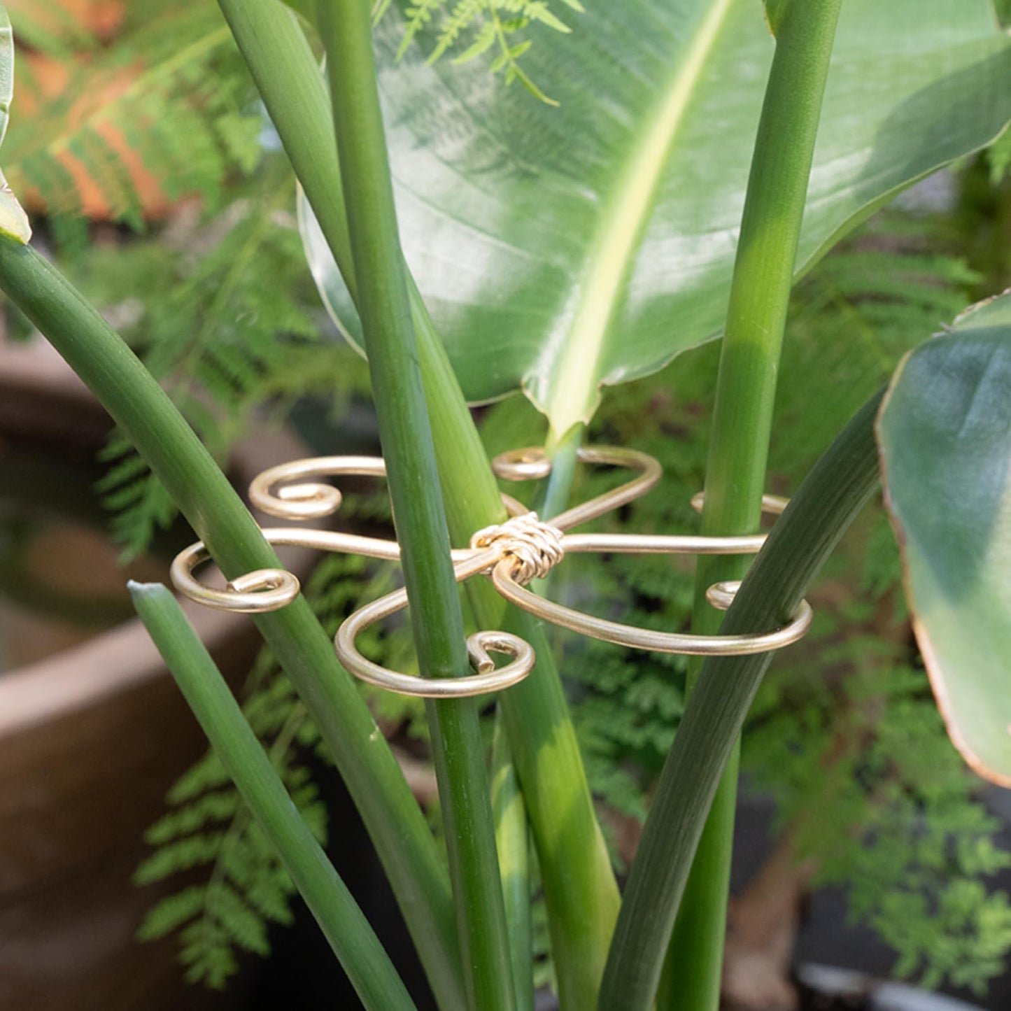 YOHSNOR 5PCS Monstera Plant Support System 4.1IN - Durable Hook Stem Supports for Healthy Growth, Stabilizer for Leaves and Turtle Shells, Easy-to-Use Indoor Plant Care, Ideal Present for Plant Lovers