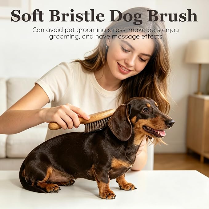 Soft Boar Bristle Short Hair Dog Brush, Natural Bamboo Handle, Pet Massage Deshedding Tool, Fit Puppy, Such as French Bulldog, Beagle, Dachshund, Boston Terrier, Pug, Chihuahua