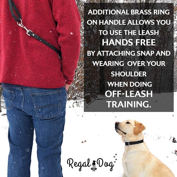 Regal Dog Products Medium Pink Waterproof Dog Collar and Leash Set | Heavy Duty Double Buckle & D Ring - 5'ft Leash | Adjustable Biothane Dog Collar | Chew Resistant Waterproof Collar for Dogs