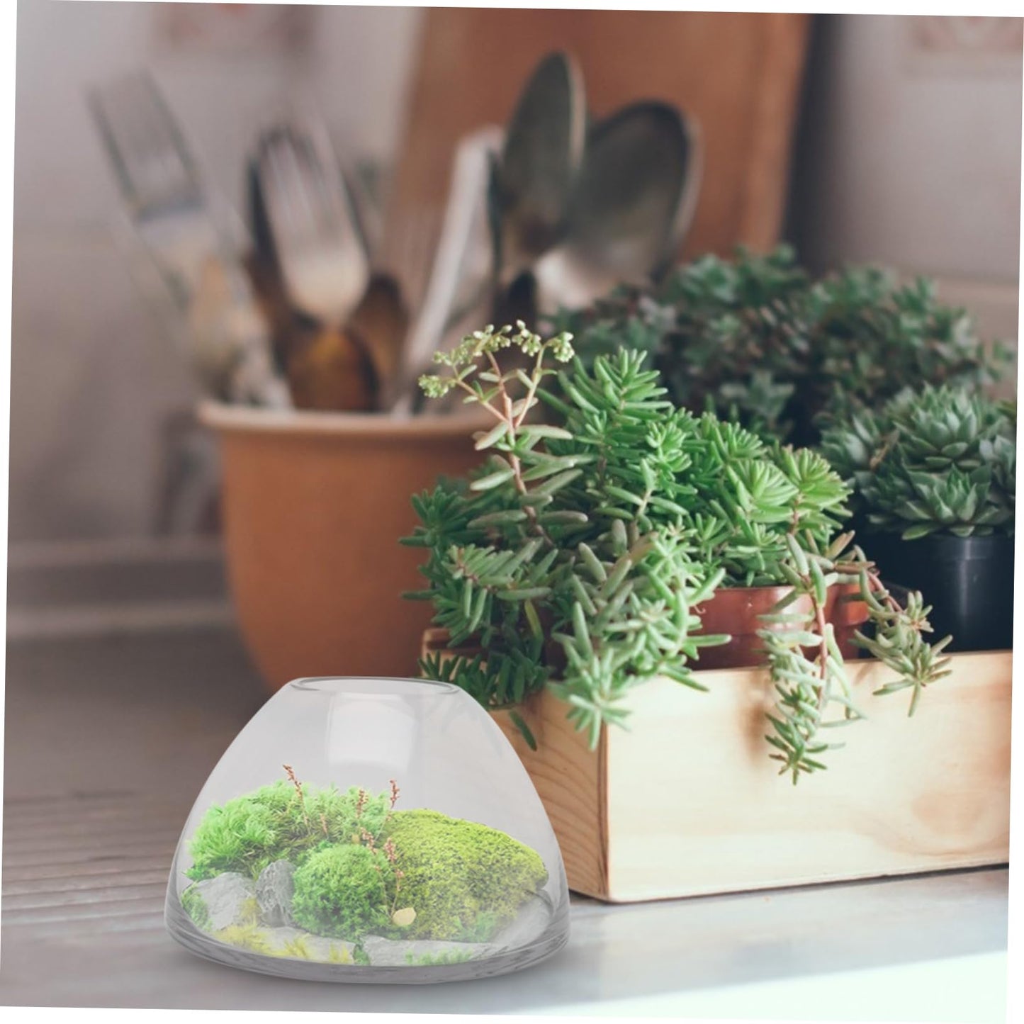 FONDOTIN Micro Landscape Bottle for Home Decor Borosilicate Glass Terrarium Holder Decorative Plant Ecosystem Container for Small Indoor Plants