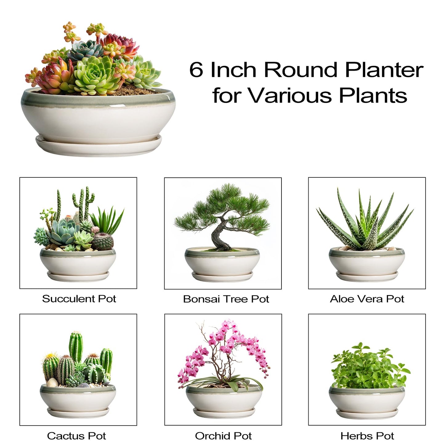 SQOWL Succulent Planters - 6 Inch Ceramic Bonsai Pots, Shallow Planter with Drainage Hole and Saucer, Round Planter for Indoor Outdoor, Cactus Succulent Pots, Desk Decor, Garden Gifts, Gray-Beige