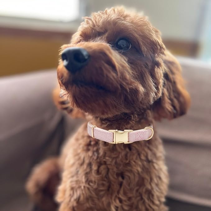 Luxury Soft Cotton Tweed Fabric Dog Collar & Leash Set with Gold Buckle – Durable Fabric, Stylish Design for Everyday Walks(Small Pink)