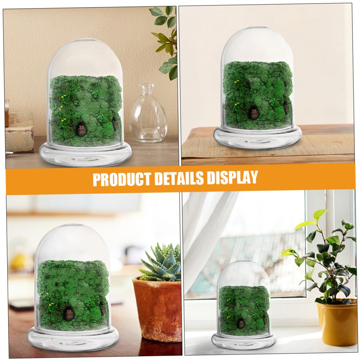 VANZACK 2pcs Moss Landscape Bottle DIY Plant Terrarium Glass Container for Indoor Home