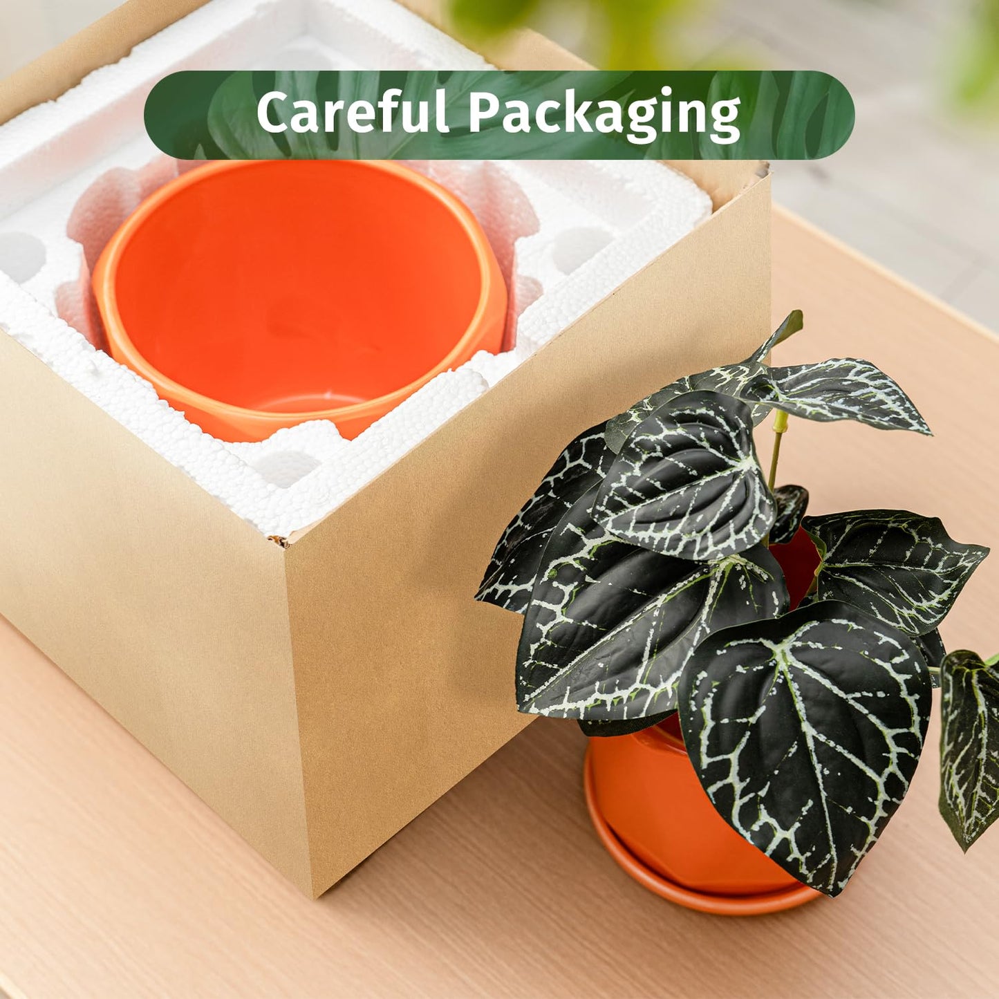 Ton Sin Ceramic Plant Pots Indoor Planters White Orange Set of 3 4