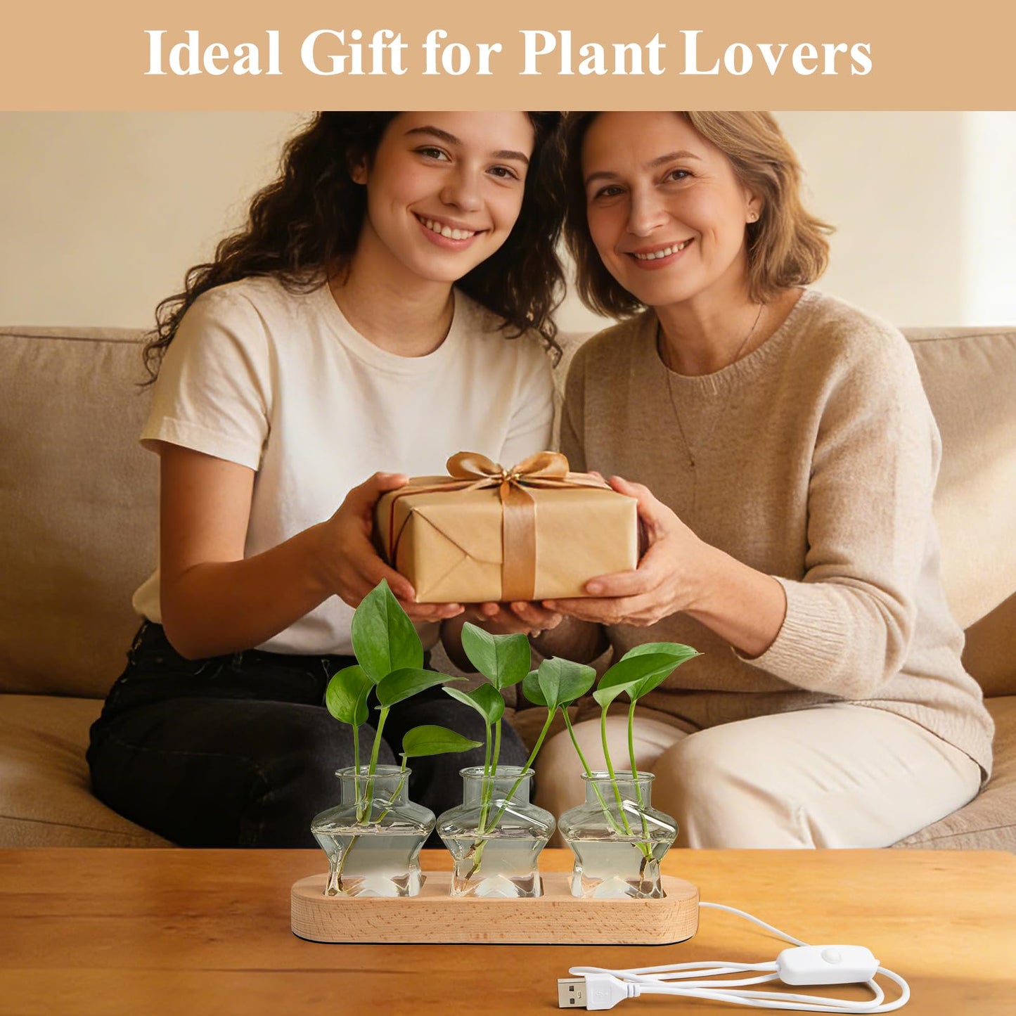 XXXFLOWER Plant Propagation Station with LED Light, Wooden Base Glass Terrarium & Lighted Vase, Hydroponic Planter Terrarium for Home Desk Decor, Ideal Gifts for Gardeners & Plant Lovers(3 Star Vases)